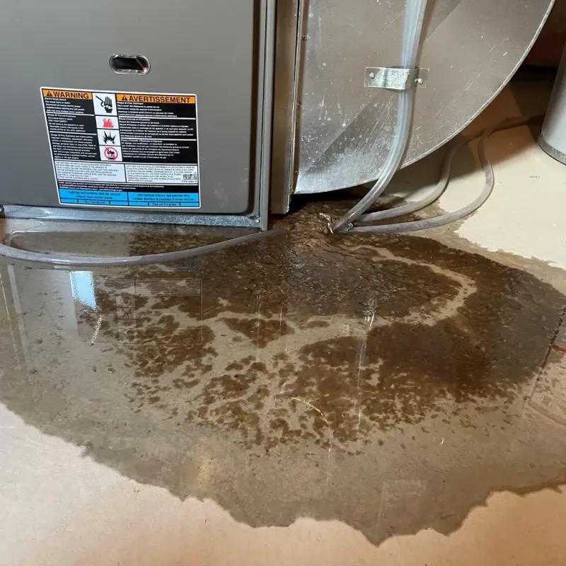 Appliance Leak Cleanup in Mogadore, OH