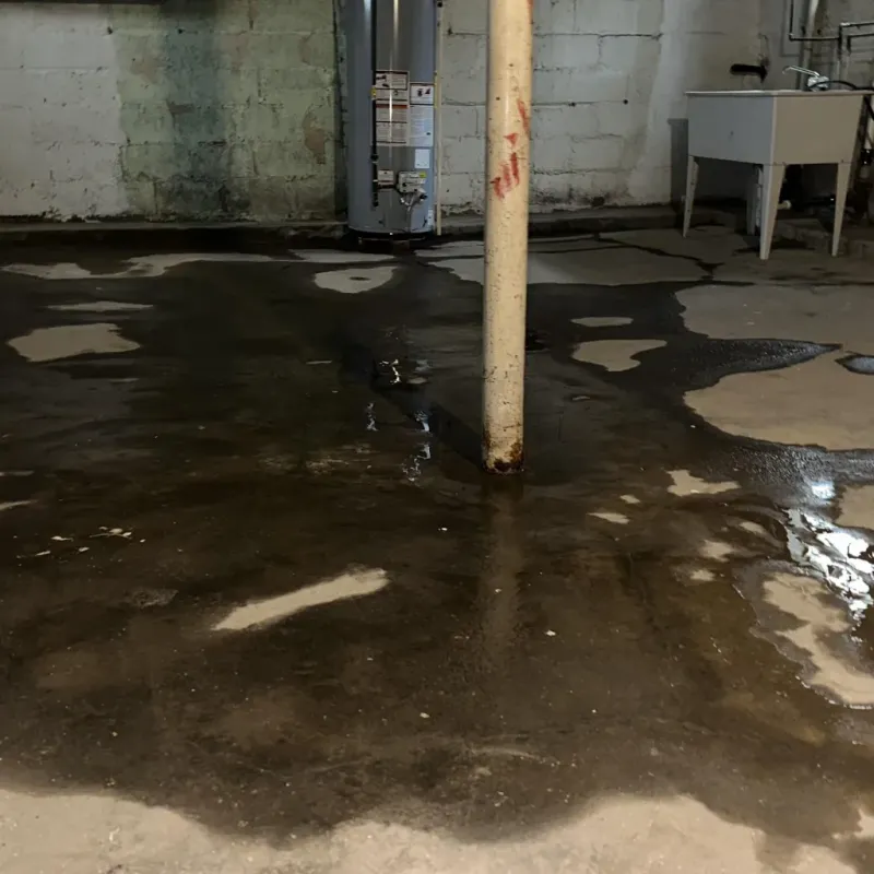 Emergency Water Extraction And Removal in Mogadore, OH